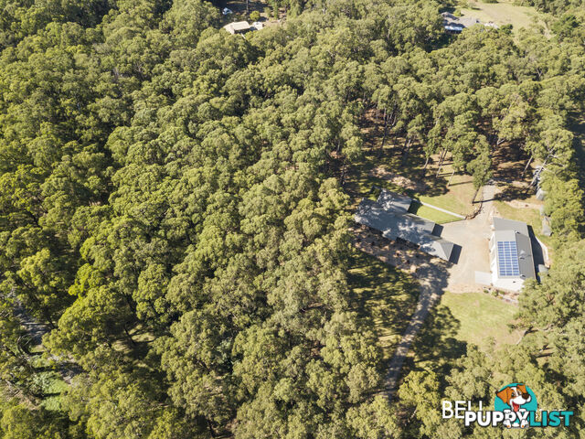 110 Worlley Road HODDLES CREEK VIC 3139