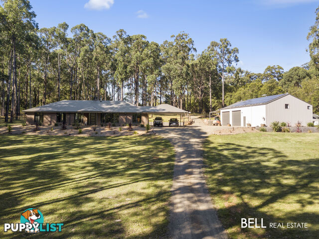 110 Worlley Road HODDLES CREEK VIC 3139