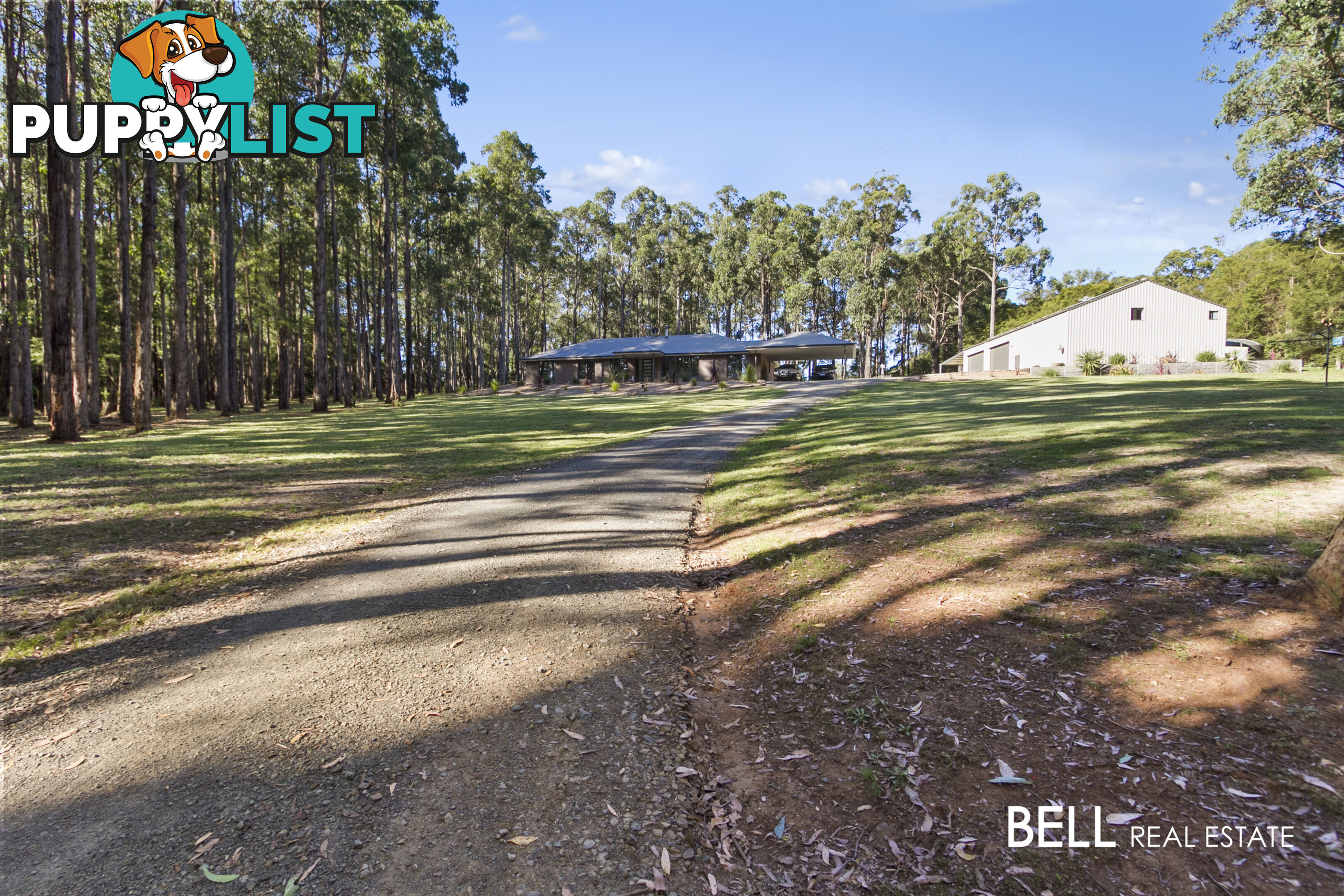 110 Worlley Road HODDLES CREEK VIC 3139