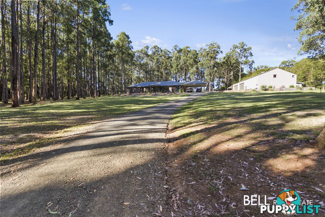 110 Worlley Road HODDLES CREEK VIC 3139