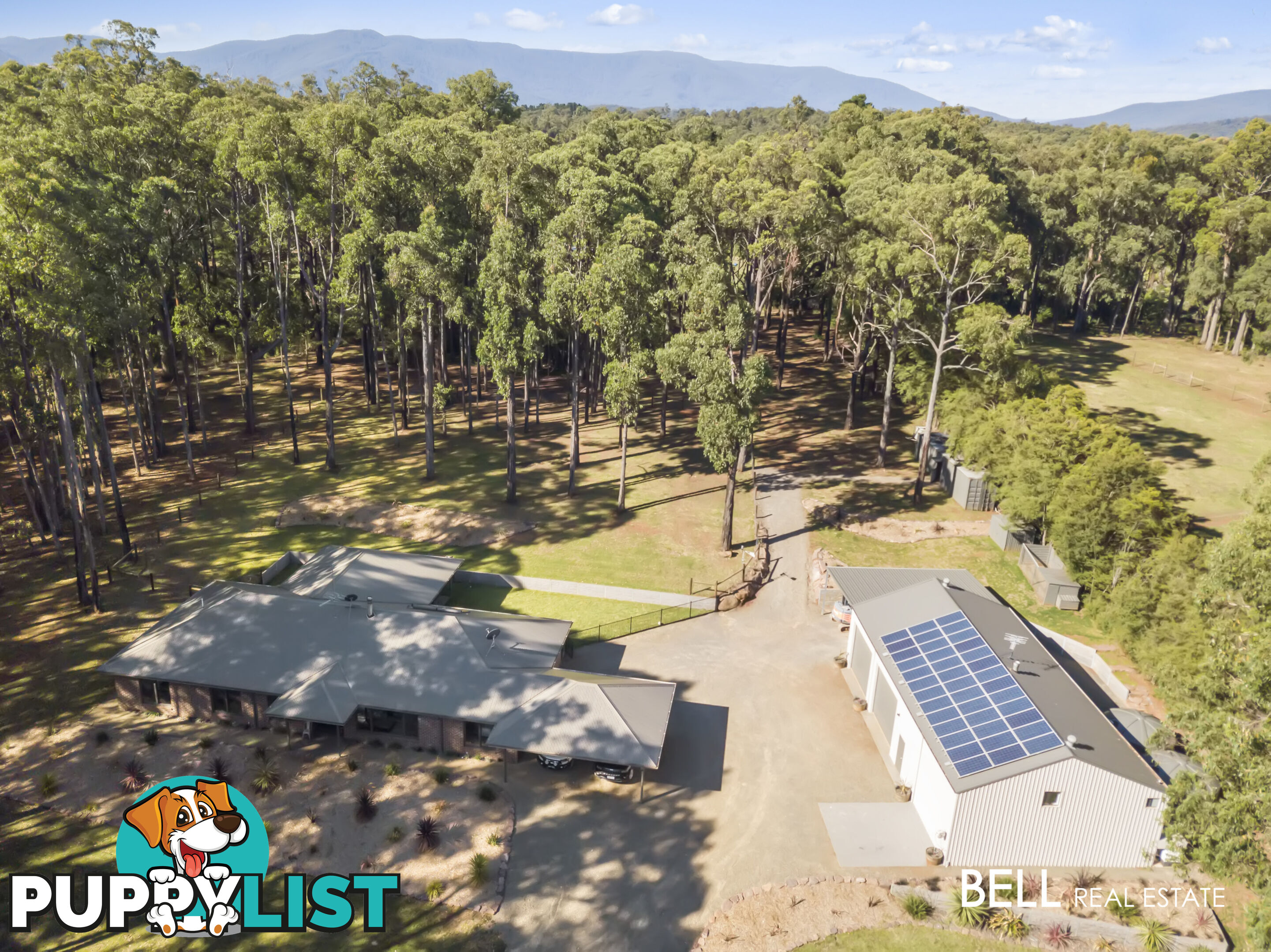 110 Worlley Road HODDLES CREEK VIC 3139