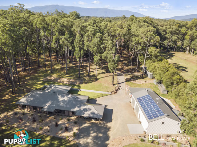 110 Worlley Road HODDLES CREEK VIC 3139