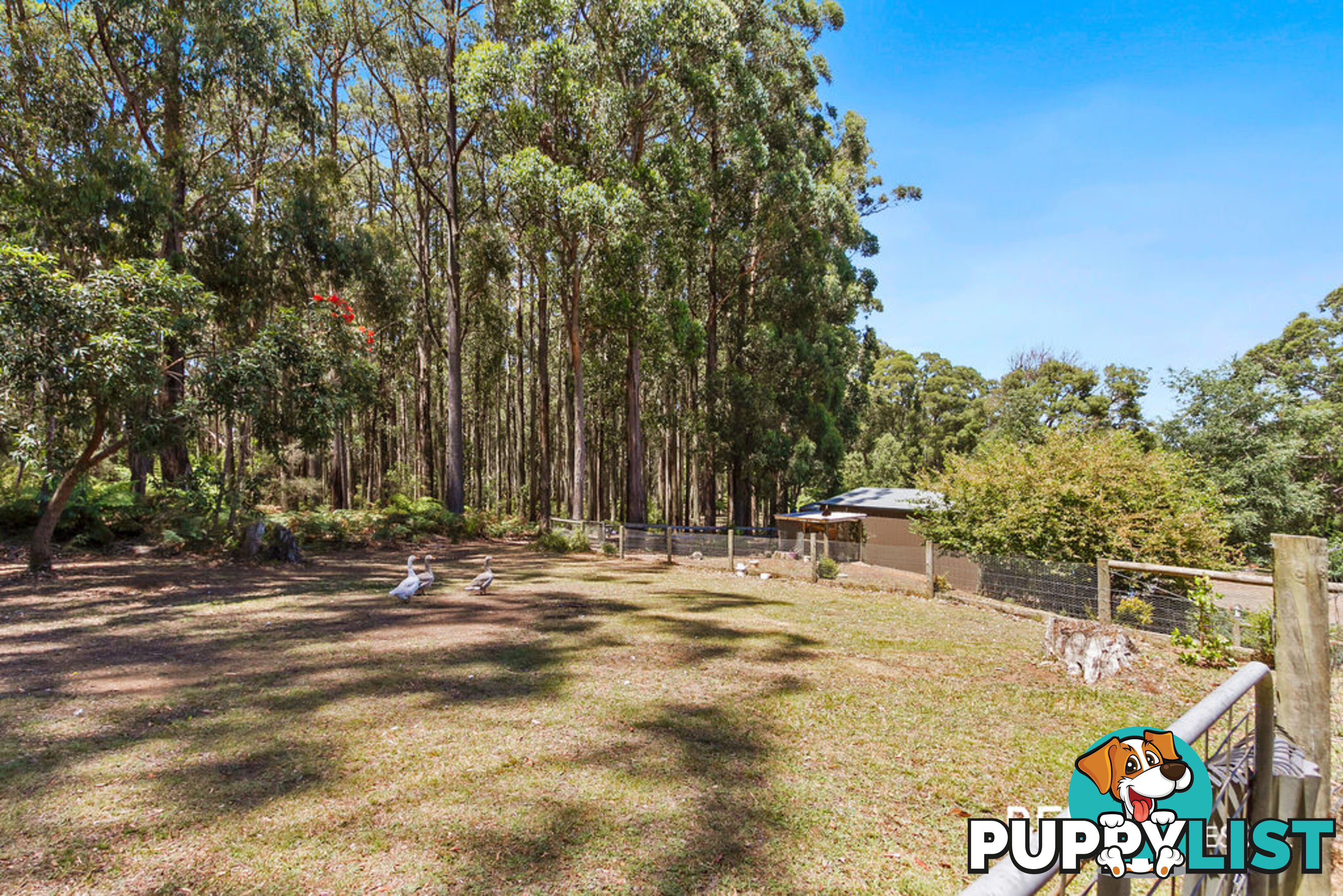 70 Currawong Drive GEMBROOK VIC 3783