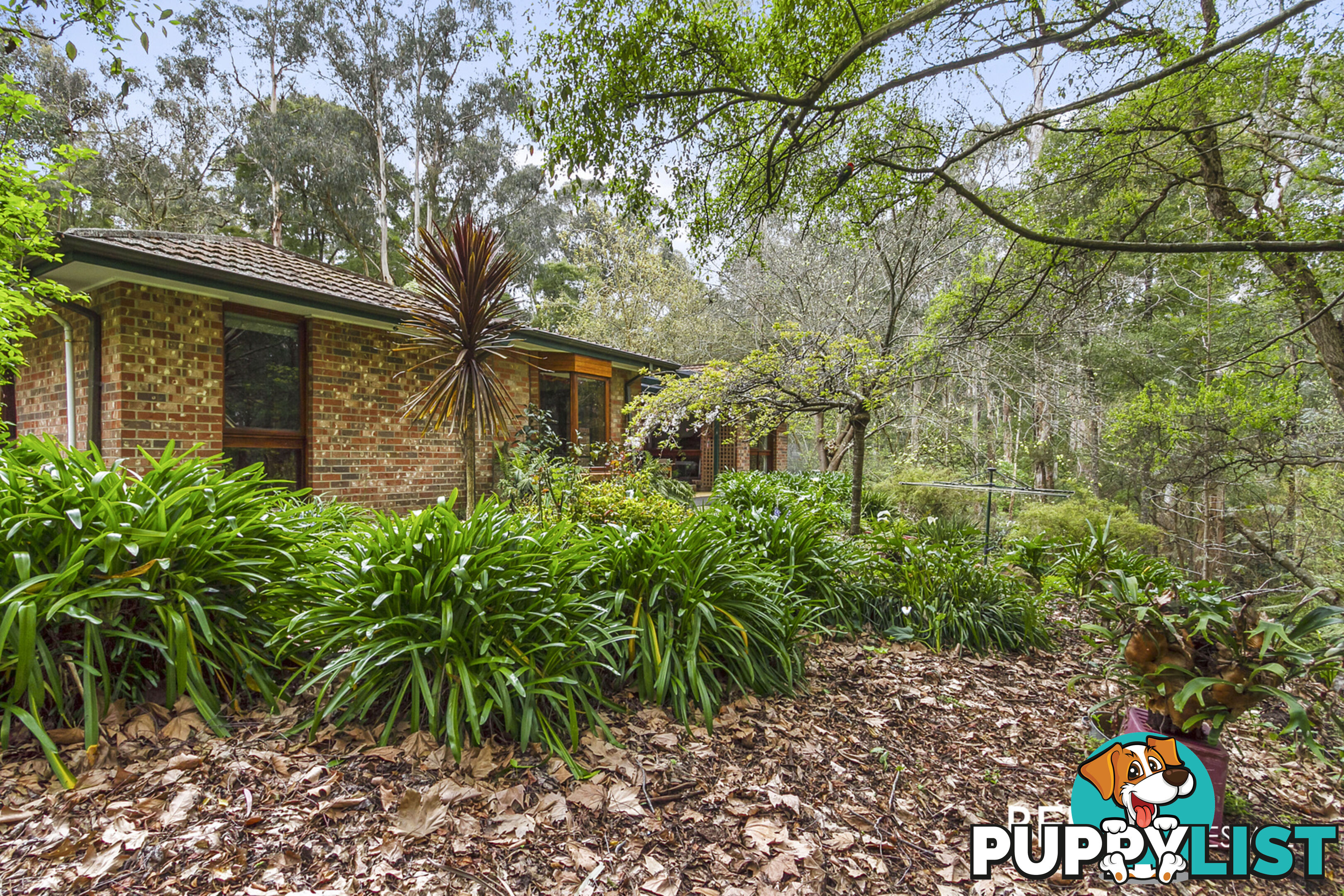 6 Clearbrook  Road CLEMATIS VIC 3782