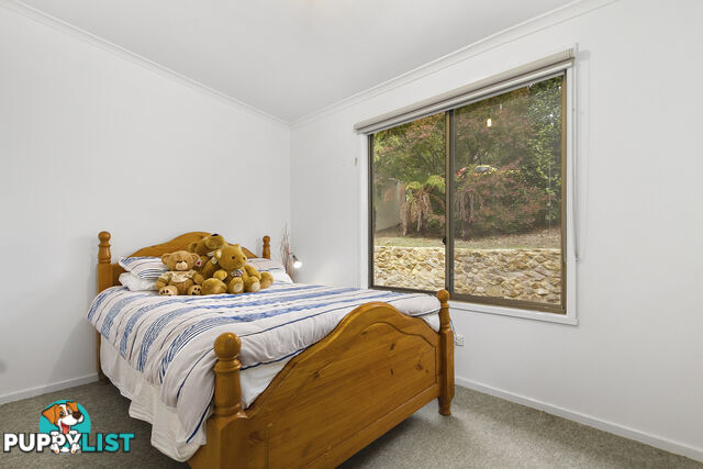 9 Brisbanes Road COCKATOO VIC 3781