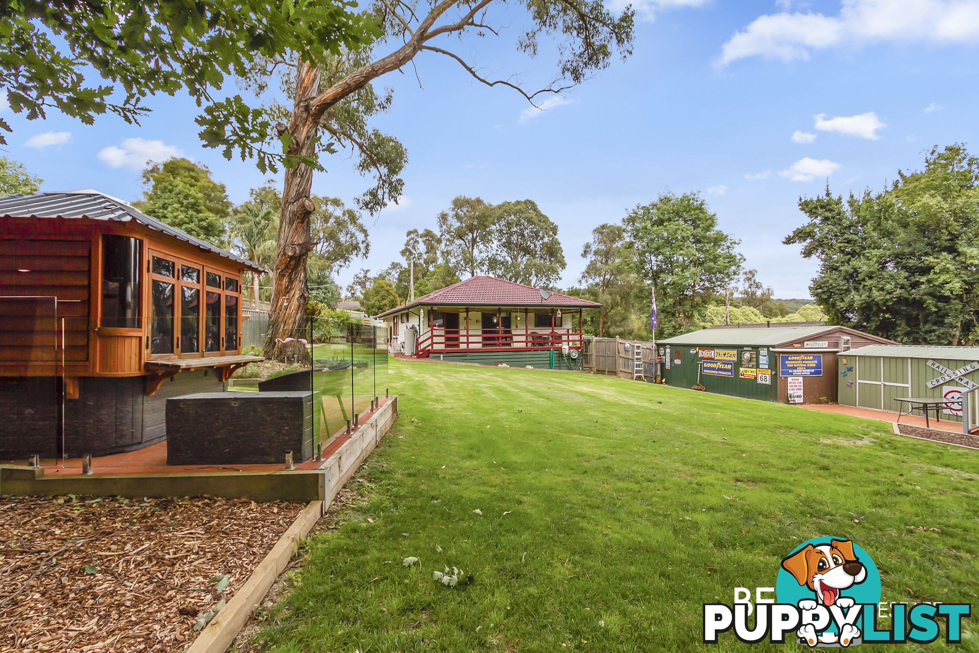 12 Caroline Avenue COCKATOO VIC 3781