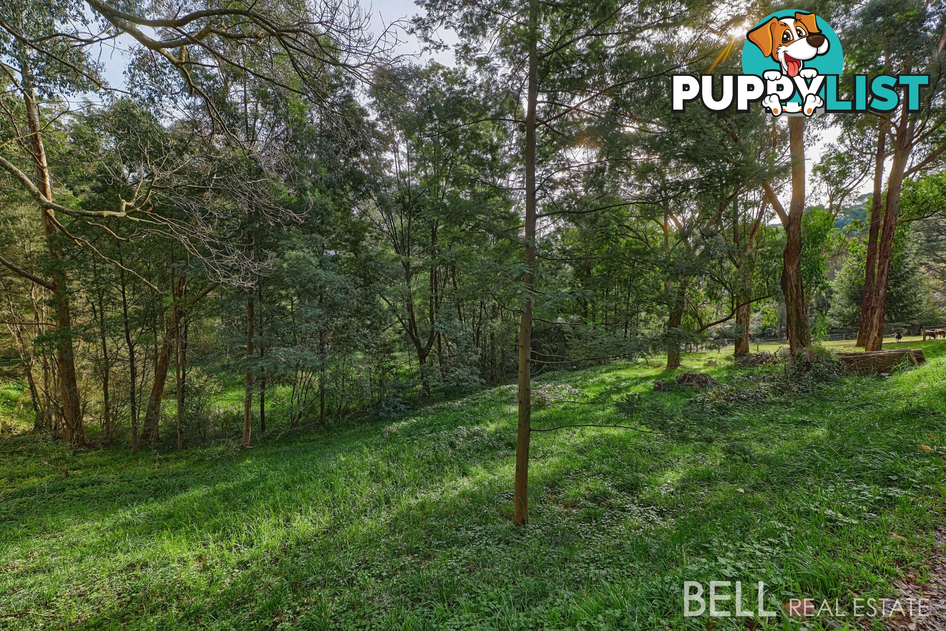 7 Brookdale Avenue EMERALD VIC 3782