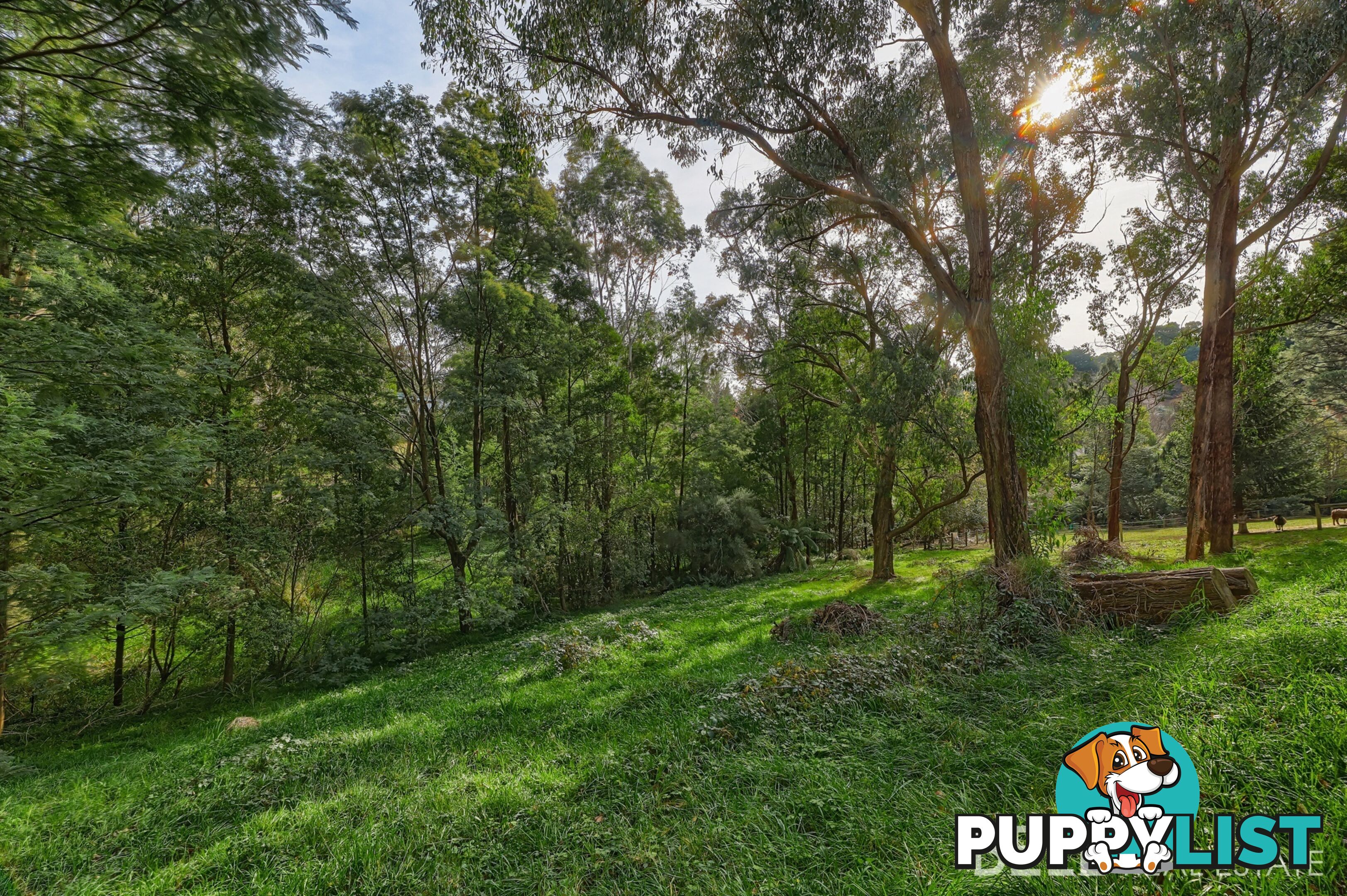 7 Brookdale Avenue EMERALD VIC 3782