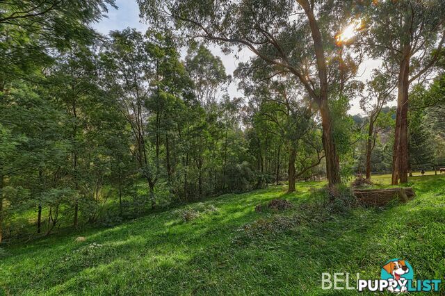 7 Brookdale Avenue EMERALD VIC 3782