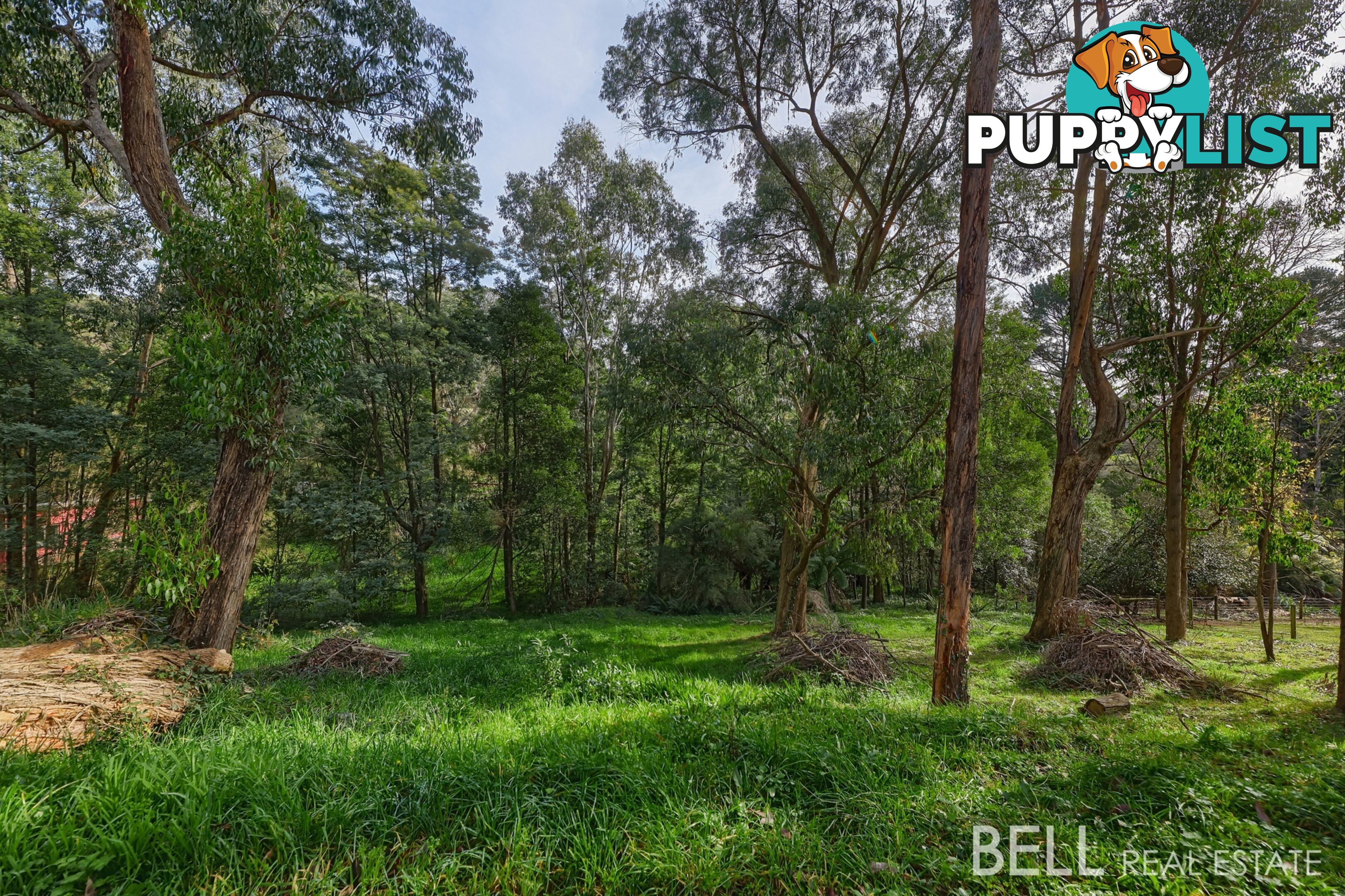 7 Brookdale Avenue EMERALD VIC 3782