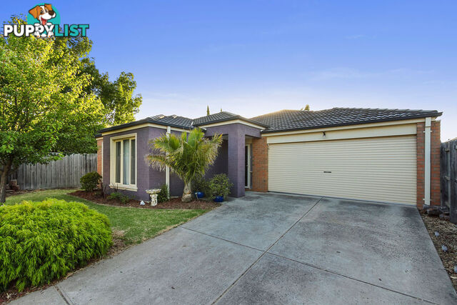 11 Tuileries Rise NARRE WARREN SOUTH VIC 3805