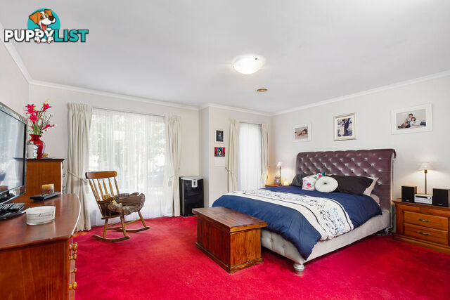 11 Tuileries Rise NARRE WARREN SOUTH VIC 3805