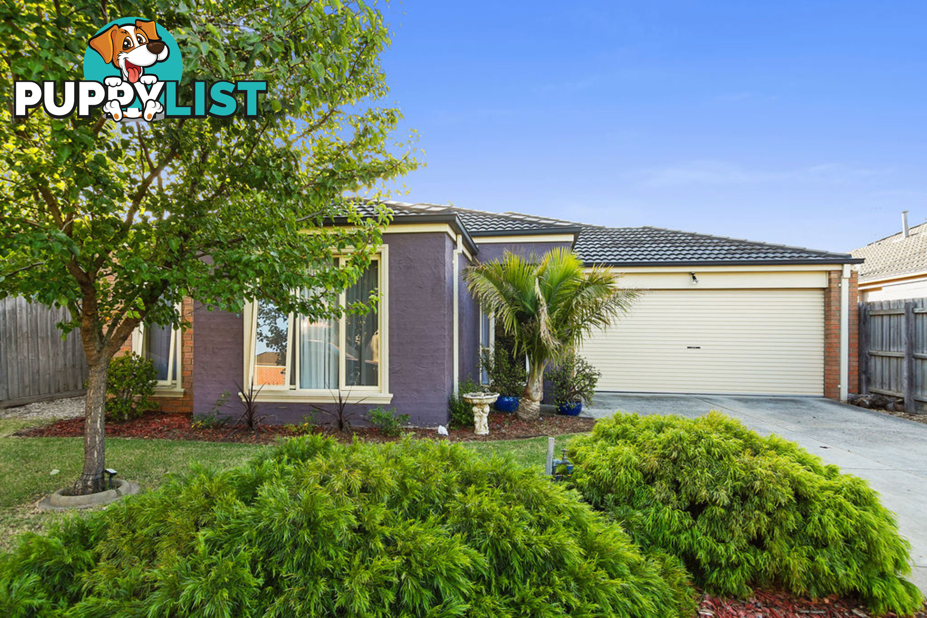 11 Tuileries Rise NARRE WARREN SOUTH VIC 3805