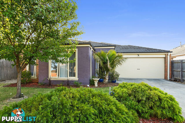 11 Tuileries Rise NARRE WARREN SOUTH VIC 3805