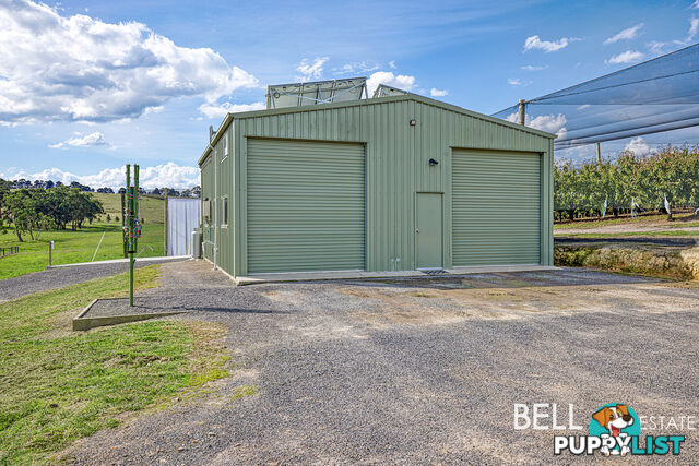 40 Bindea Road YELLINGBO VIC 3139