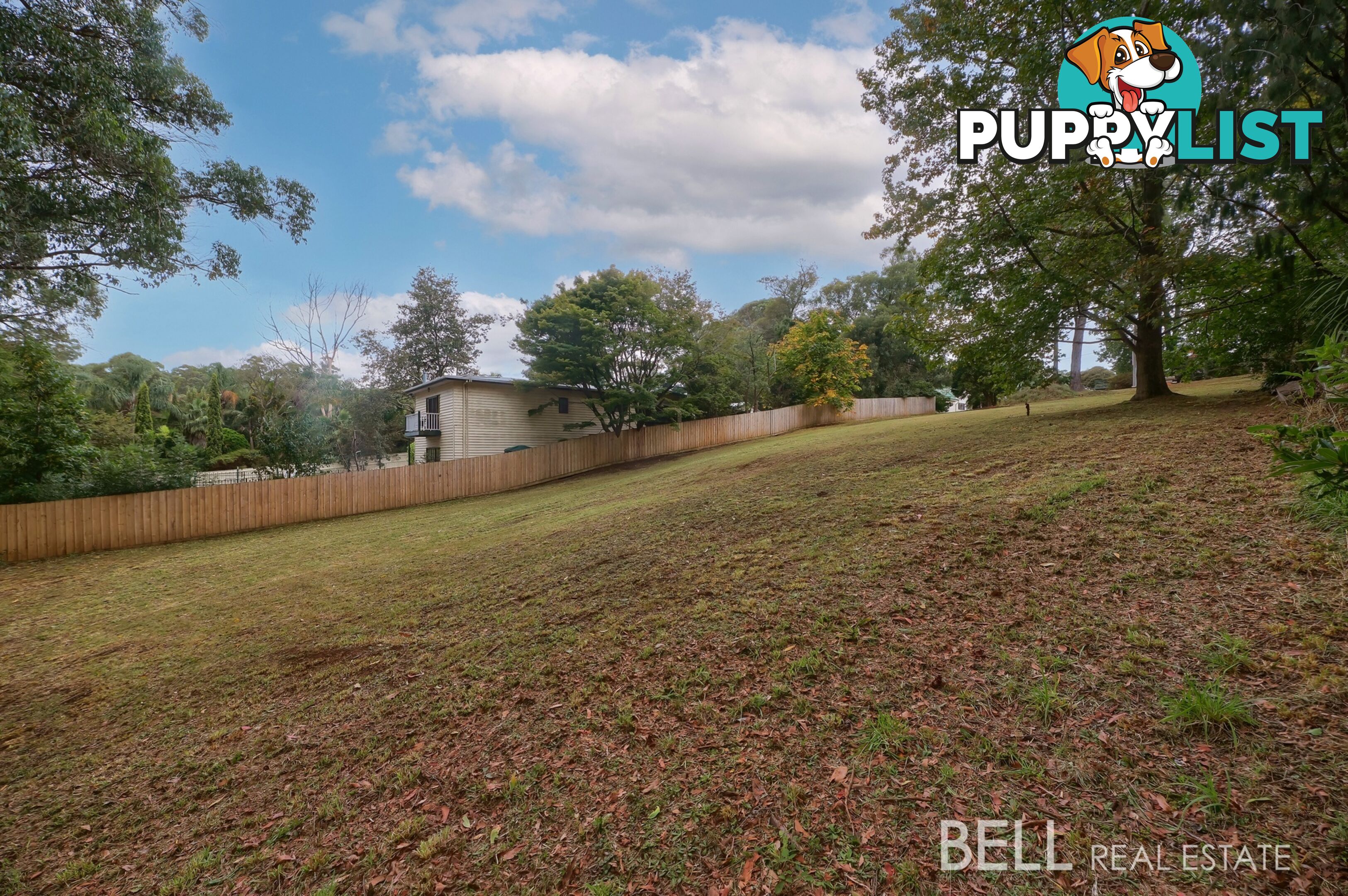 135 Gembrook Road GEMBROOK VIC 3783