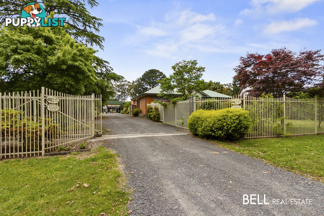 431 Monbulk Road MONBULK VIC 3793