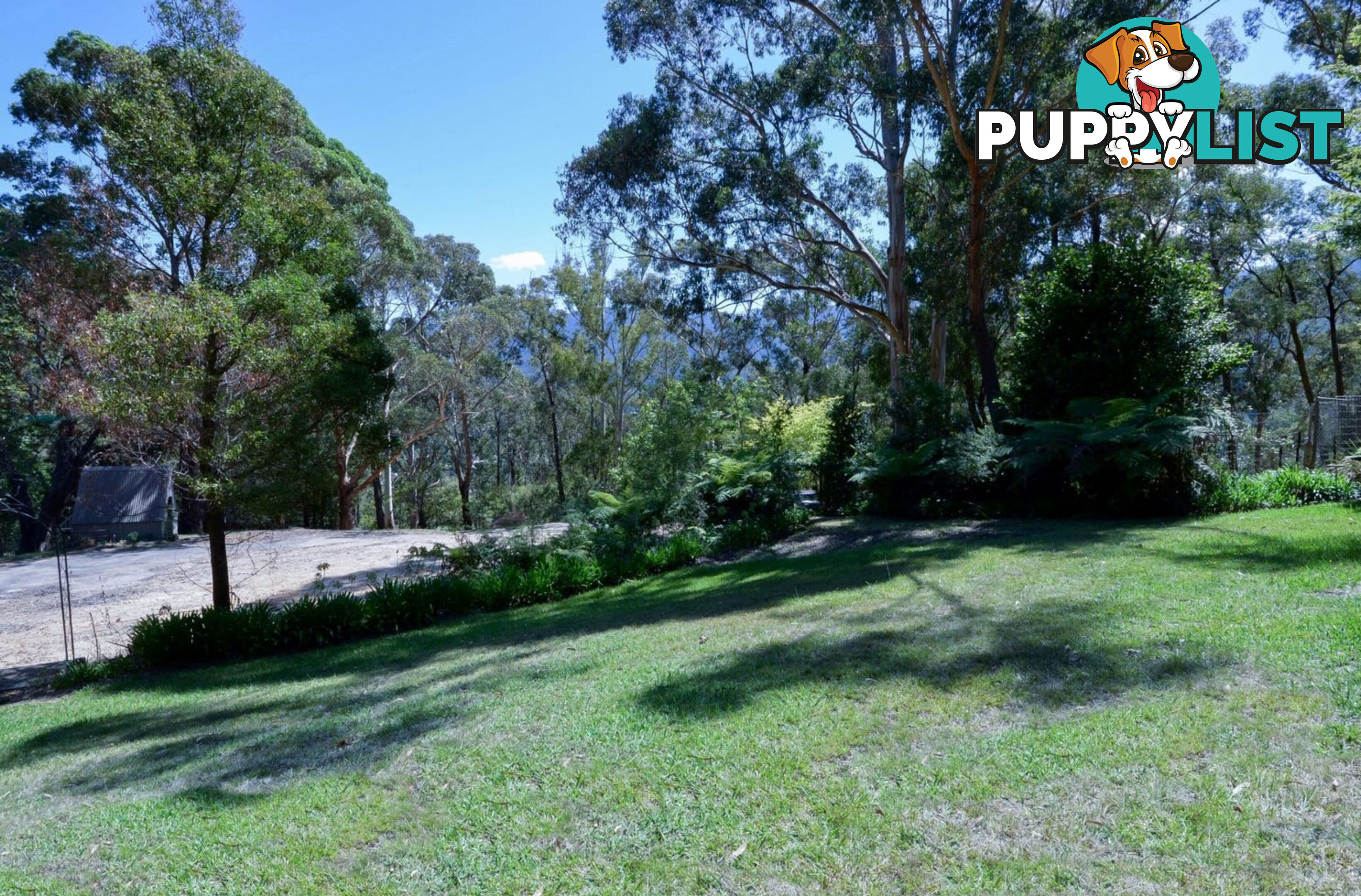 40 Prices Road MILLGROVE VIC 3799