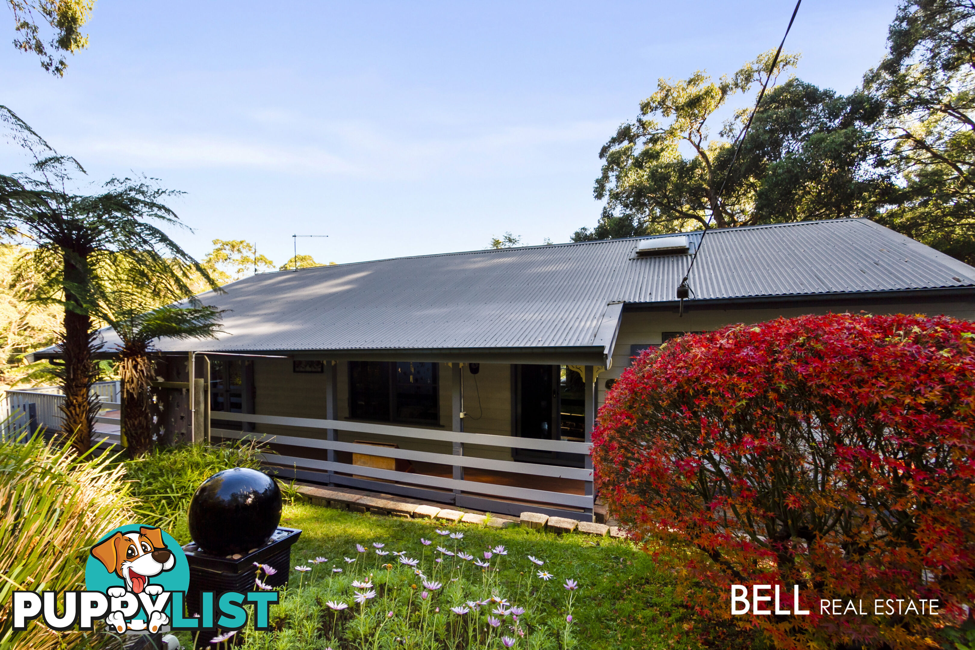 12 Alluvial Close MENZIES CREEK VIC 3159