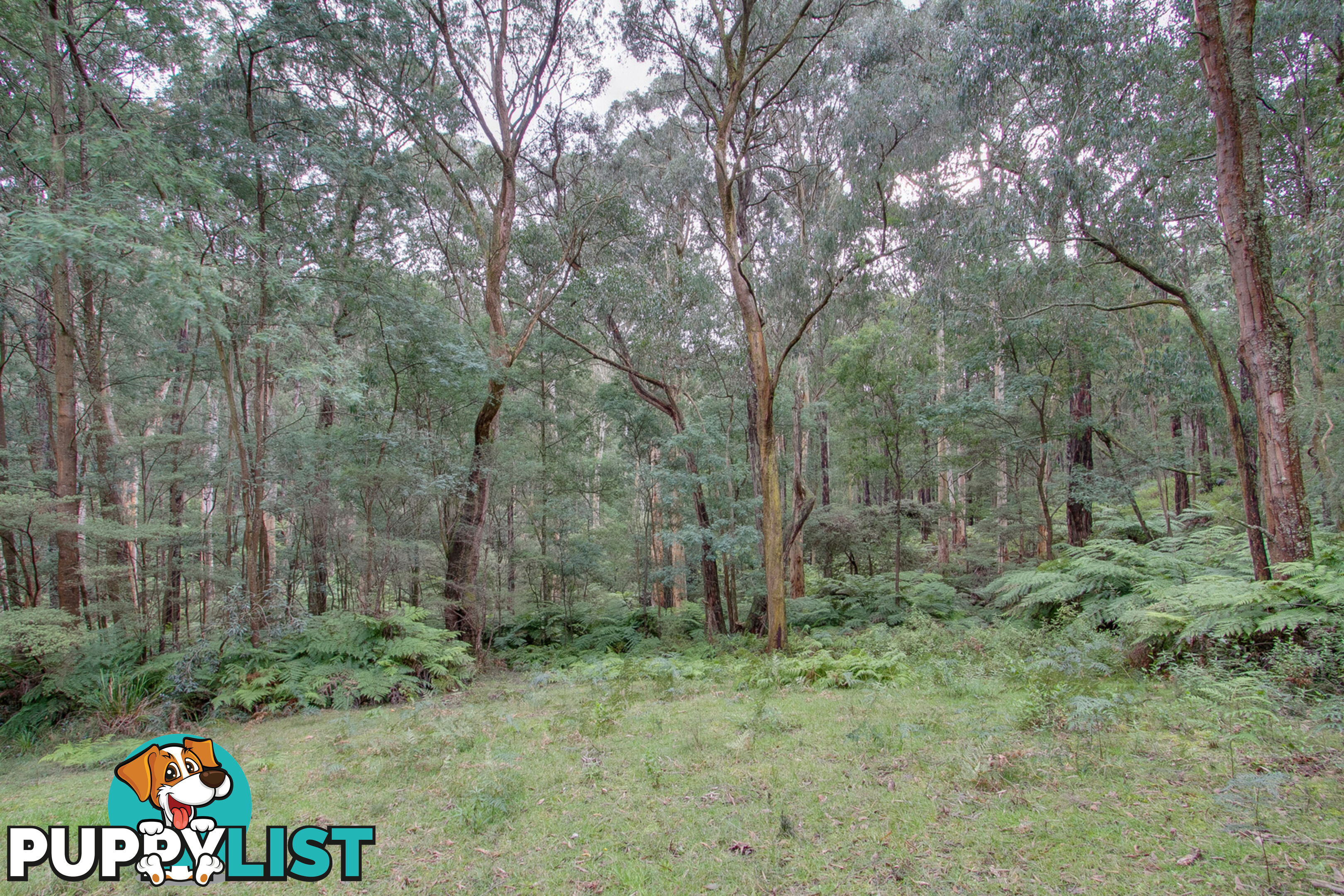 390a Old Emerald Road MONBULK VIC 3793