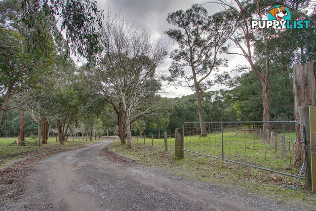 390a Old Emerald Road MONBULK VIC 3793