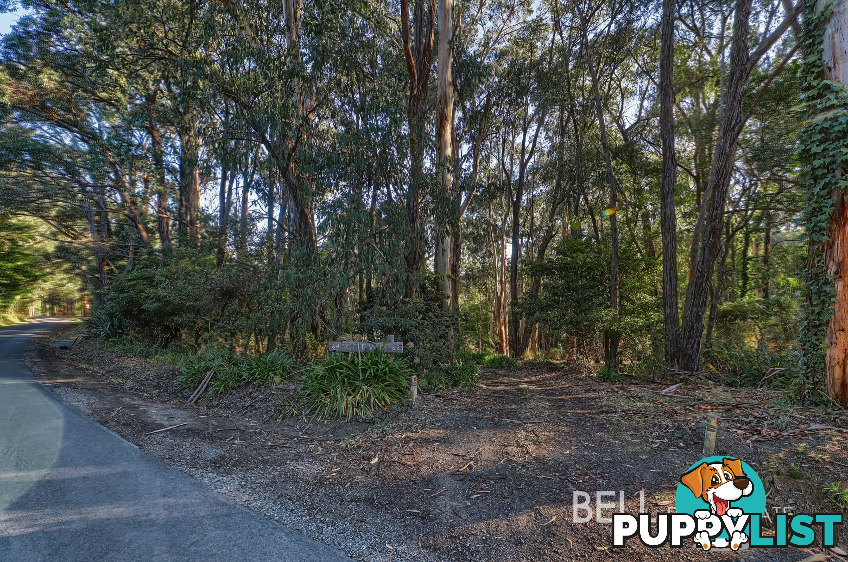 62 Kilvington Drive EMERALD VIC 3782