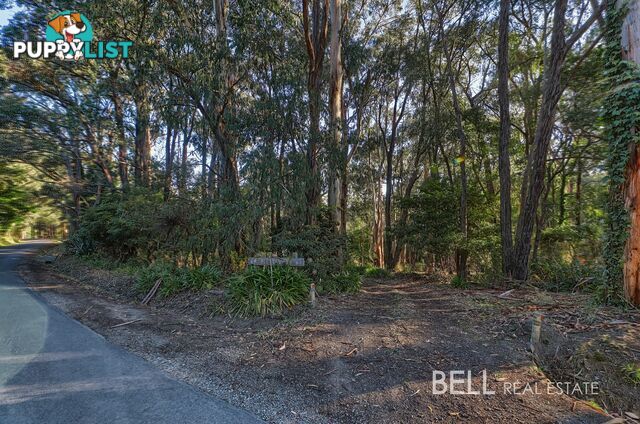 62 Kilvington Drive EMERALD VIC 3782