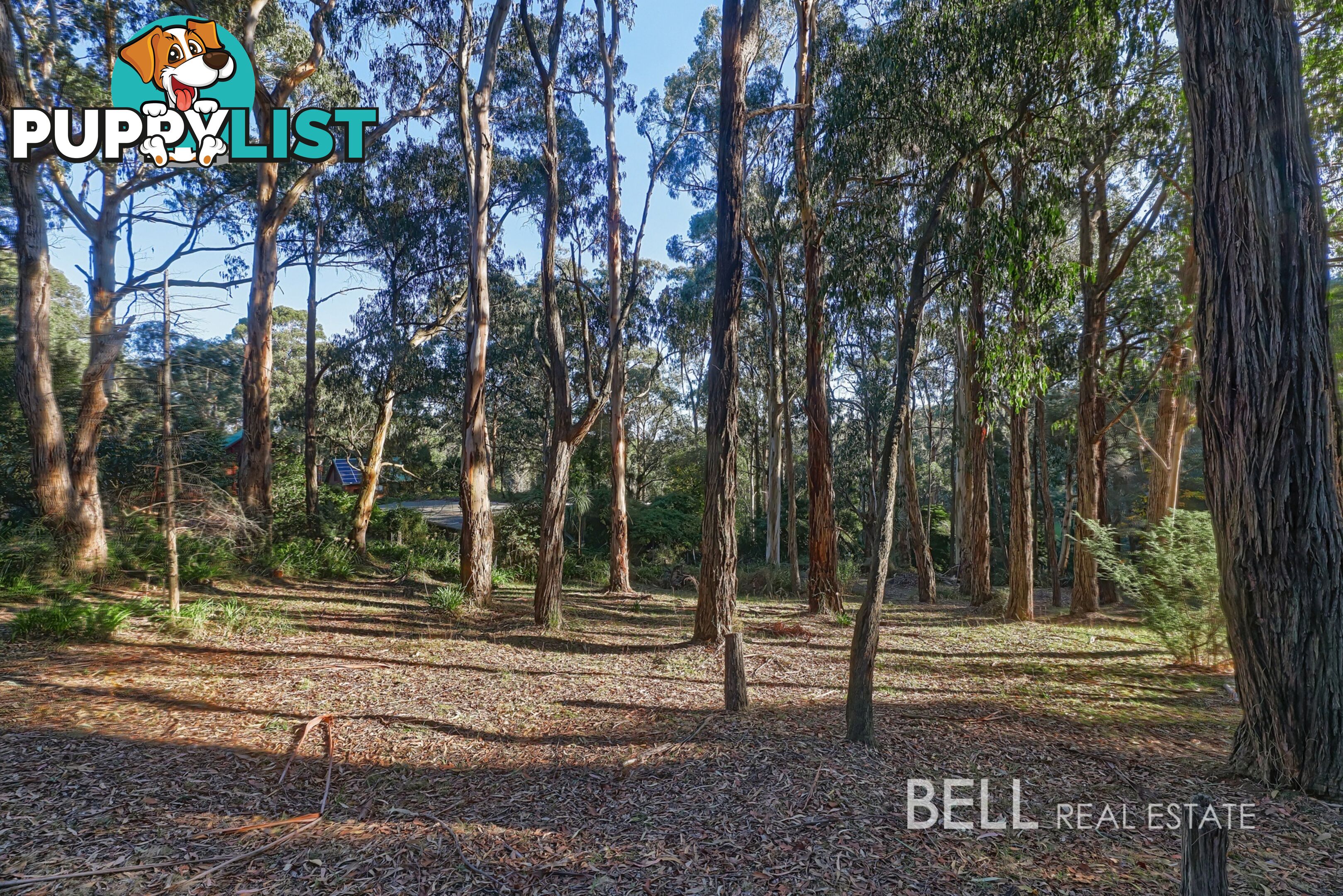 62 Kilvington Drive EMERALD VIC 3782