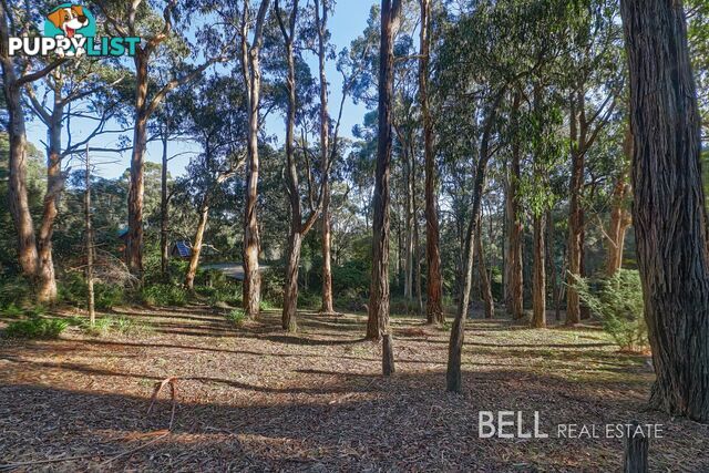 62 Kilvington Drive EMERALD VIC 3782
