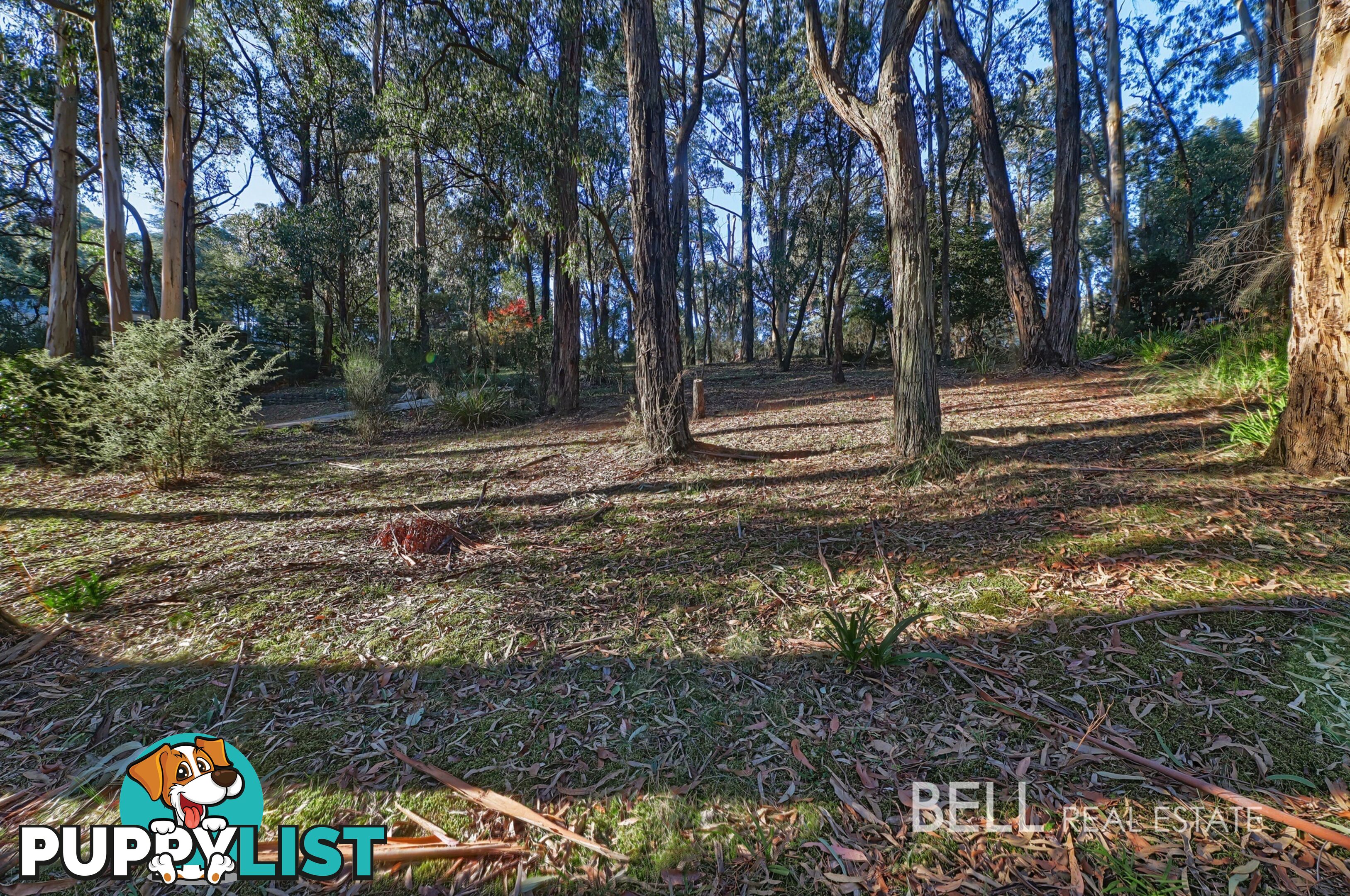 62 Kilvington Drive EMERALD VIC 3782