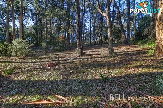 62 Kilvington Drive EMERALD VIC 3782