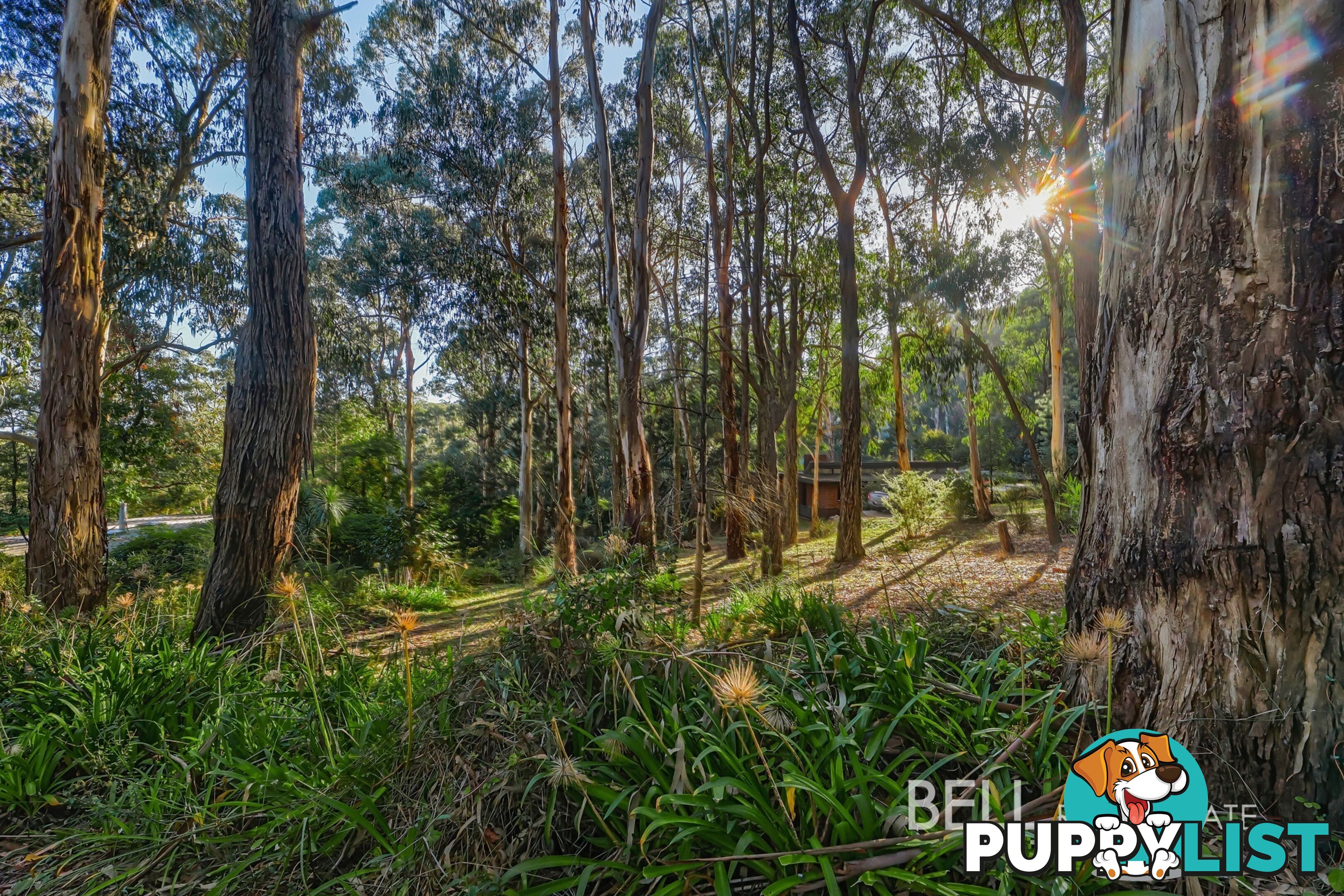62 Kilvington Drive EMERALD VIC 3782