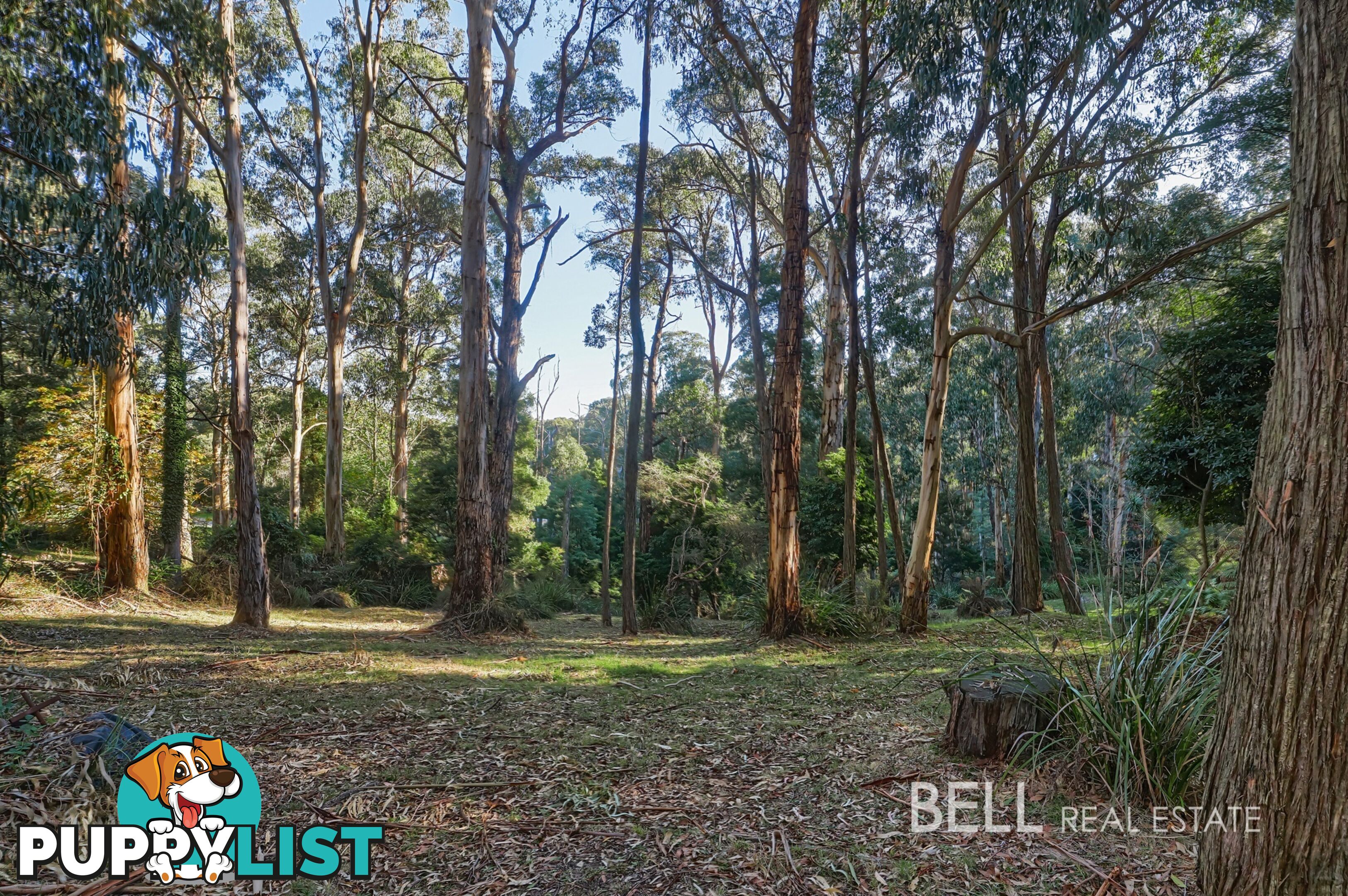 62 Kilvington Drive EMERALD VIC 3782