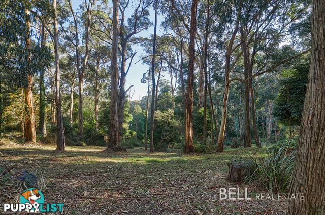62 Kilvington Drive EMERALD VIC 3782
