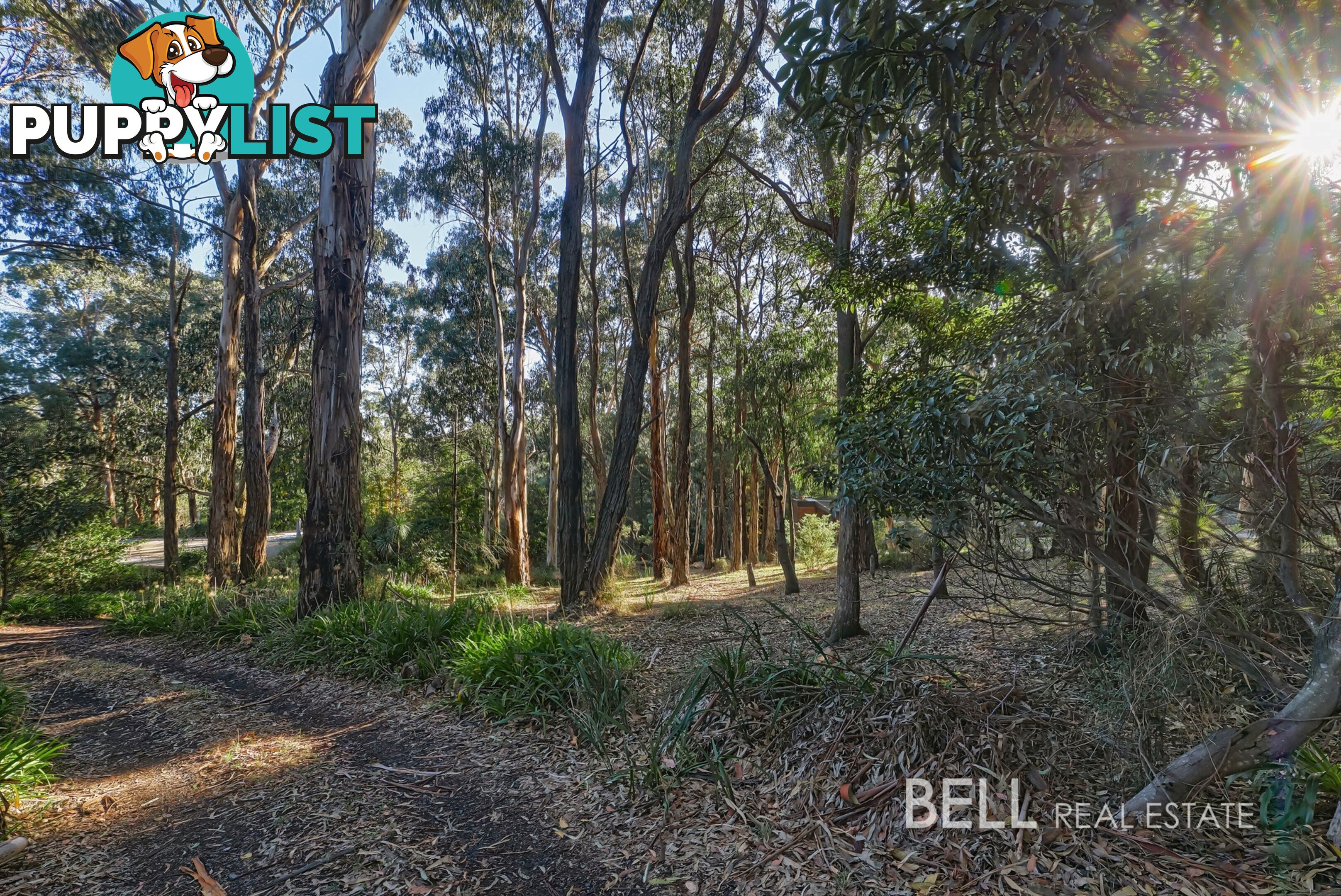 62 Kilvington Drive EMERALD VIC 3782