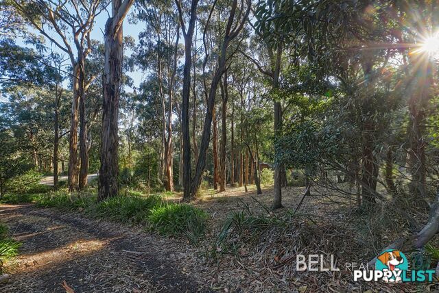 62 Kilvington Drive EMERALD VIC 3782