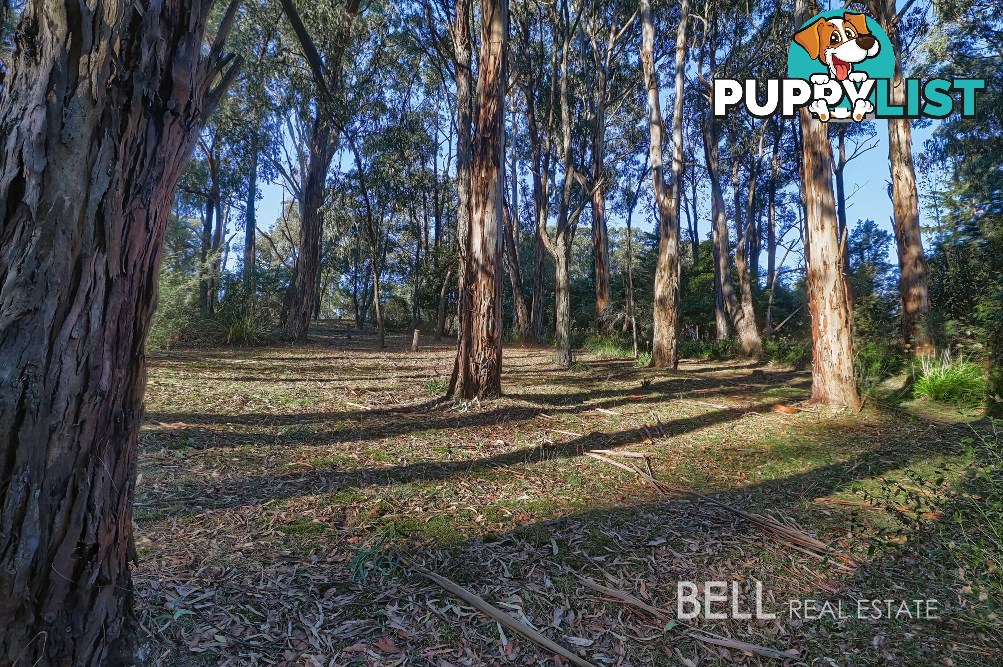 62 Kilvington Drive EMERALD VIC 3782
