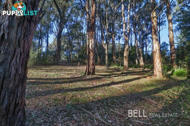 62 Kilvington Drive EMERALD VIC 3782