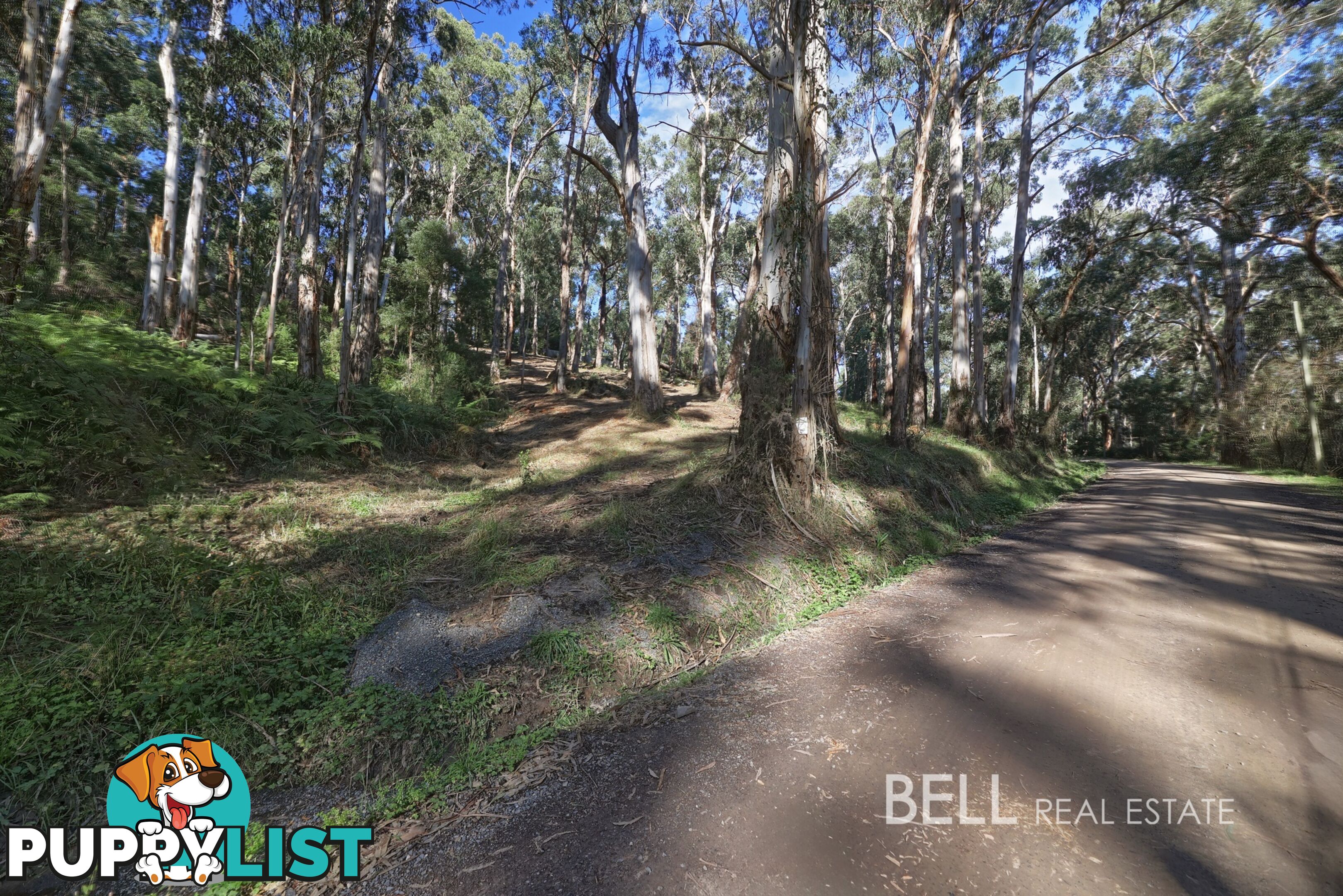 33 Selby Aura Road MENZIES CREEK VIC 3159