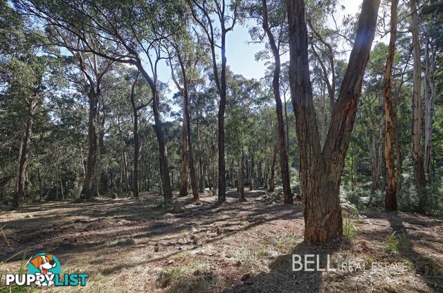 33 Selby Aura Road MENZIES CREEK VIC 3159