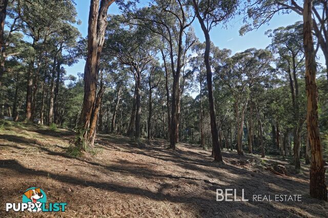 33 Selby Aura Road MENZIES CREEK VIC 3159