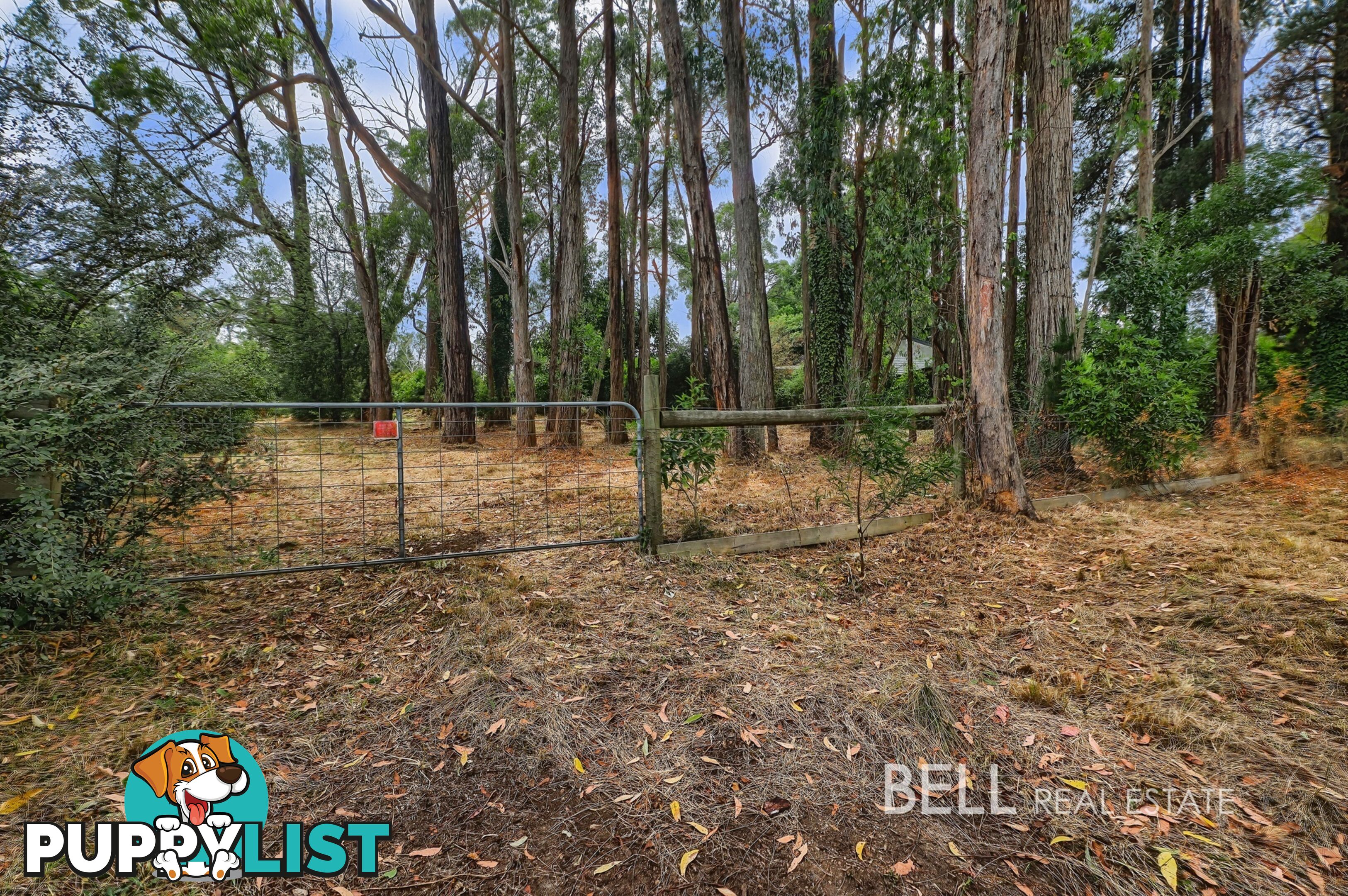 5 Mcnamara Road AVONSLEIGH VIC 3782