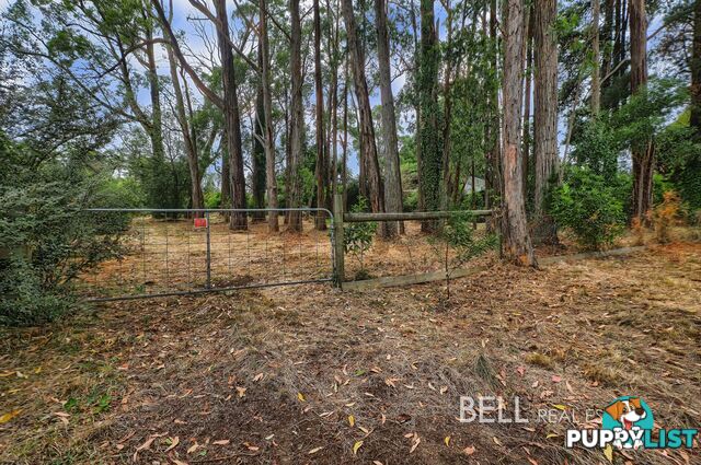 5 Mcnamara Road AVONSLEIGH VIC 3782