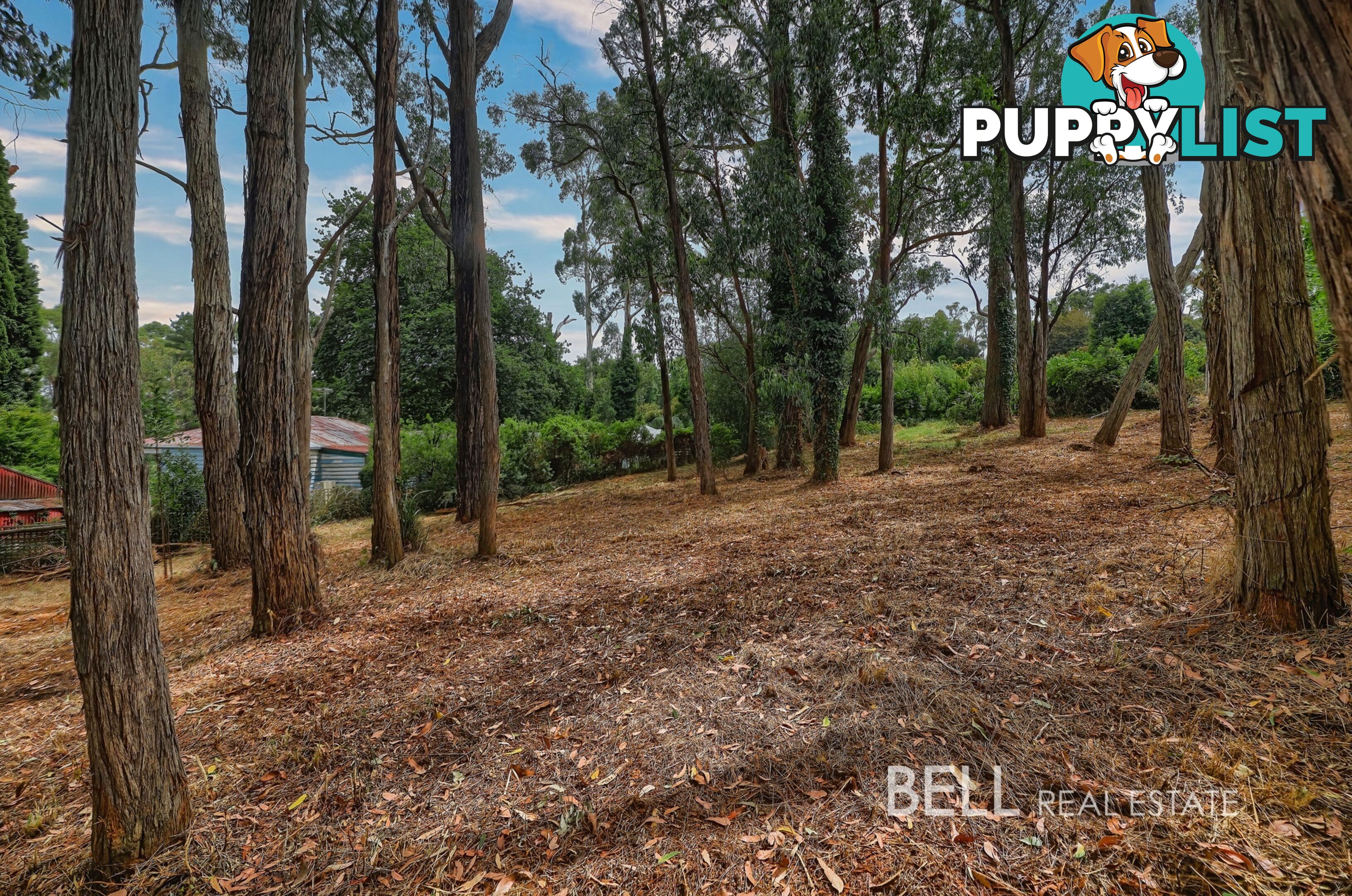 5 Mcnamara Road AVONSLEIGH VIC 3782