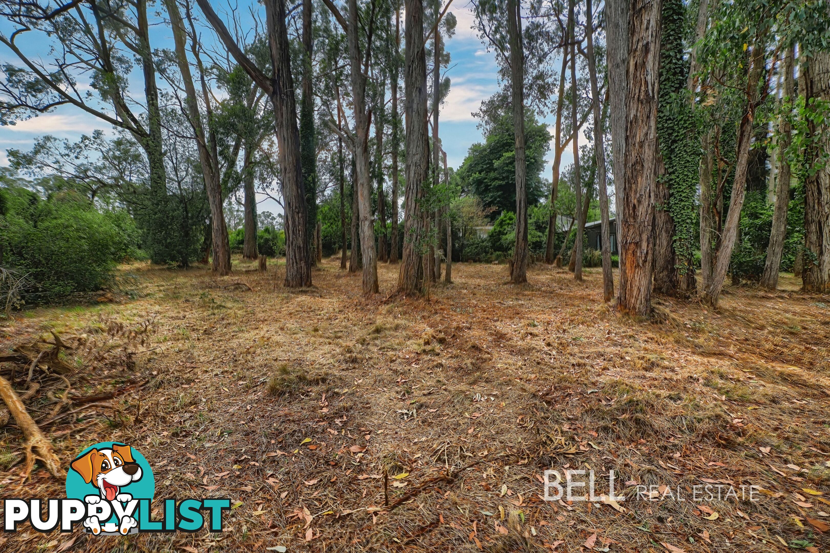 5 Mcnamara Road AVONSLEIGH VIC 3782