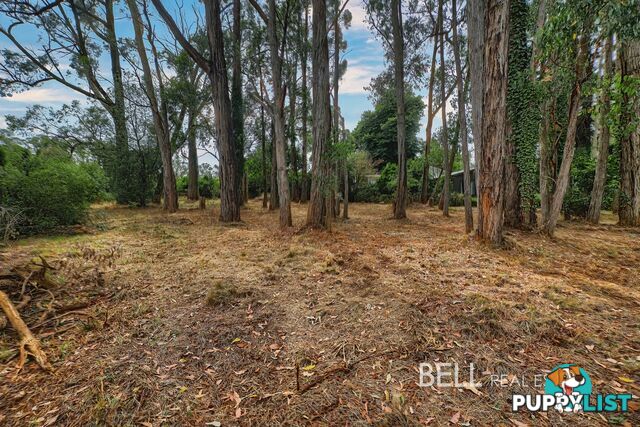 5 Mcnamara Road AVONSLEIGH VIC 3782