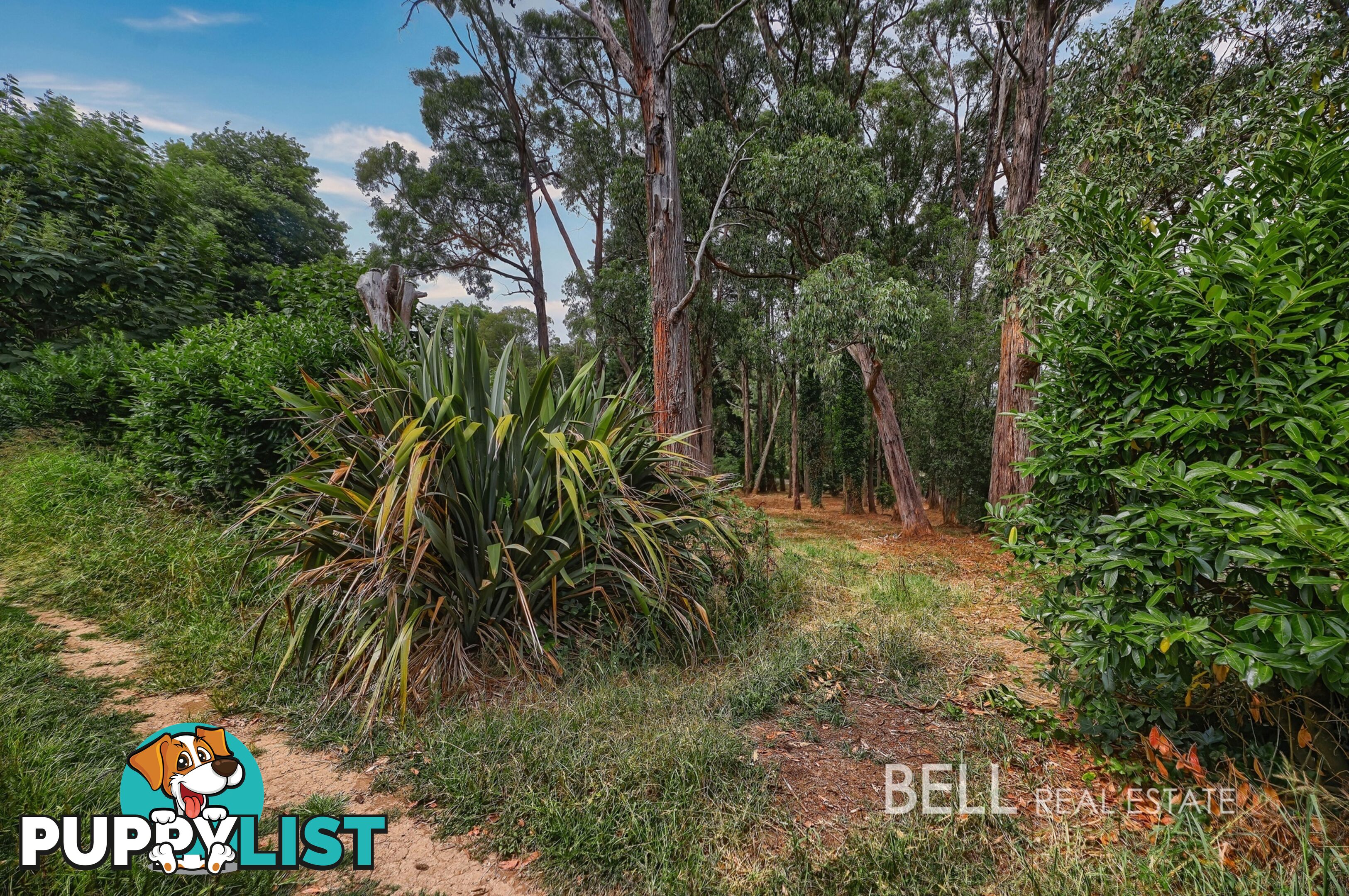 5 Mcnamara Road AVONSLEIGH VIC 3782