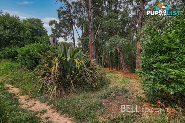 5 Mcnamara Road AVONSLEIGH VIC 3782