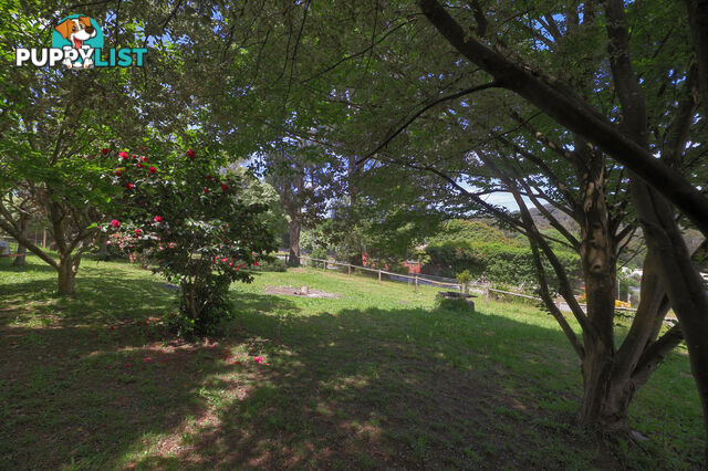 22a Belgrave-Gembrook Road COCKATOO VIC 3781