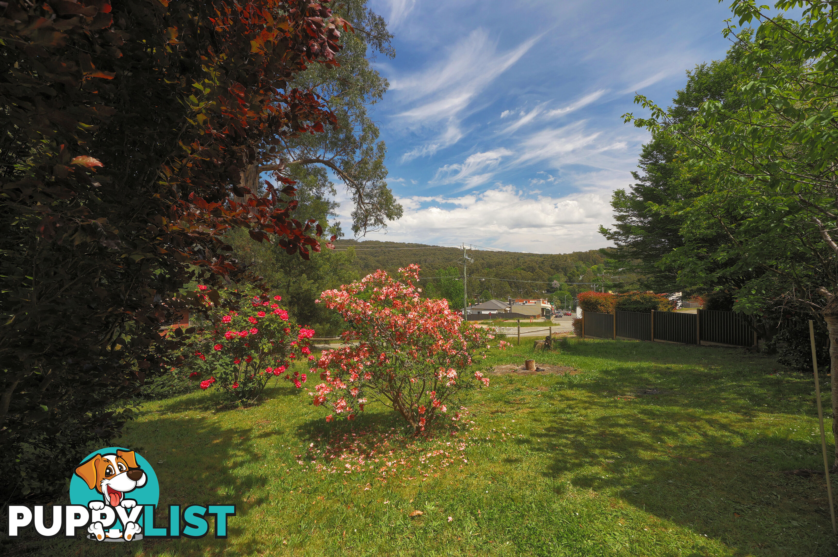 22a Belgrave-Gembrook Road COCKATOO VIC 3781